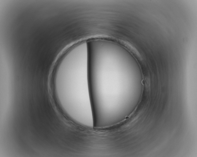 X0000114210676200910091029