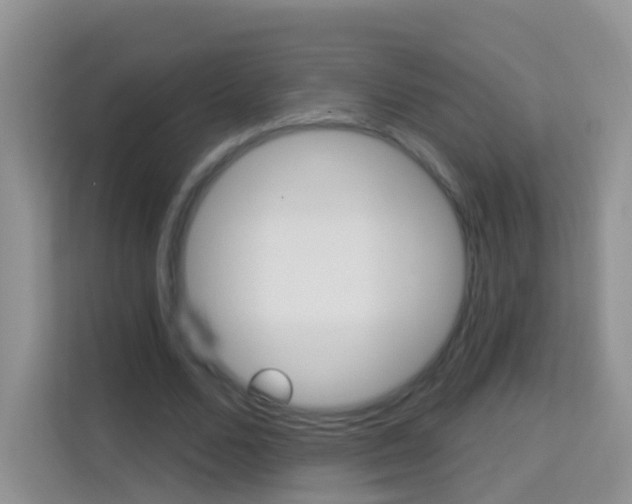 X0000114210680200910091029