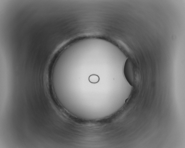 X0000114210684200910091029