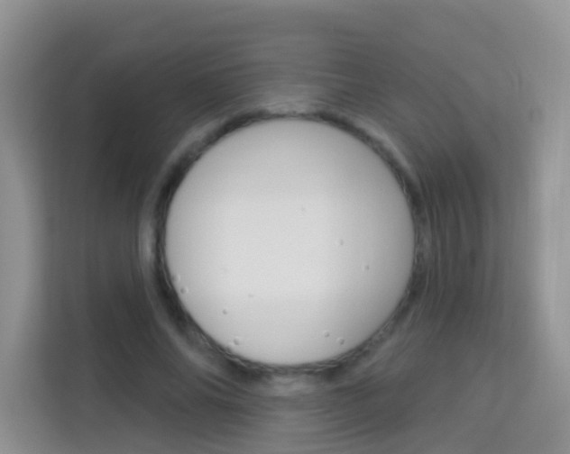 X0000114210686200910091029