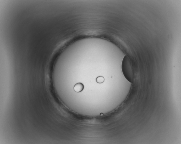 X0000114210688200910091029