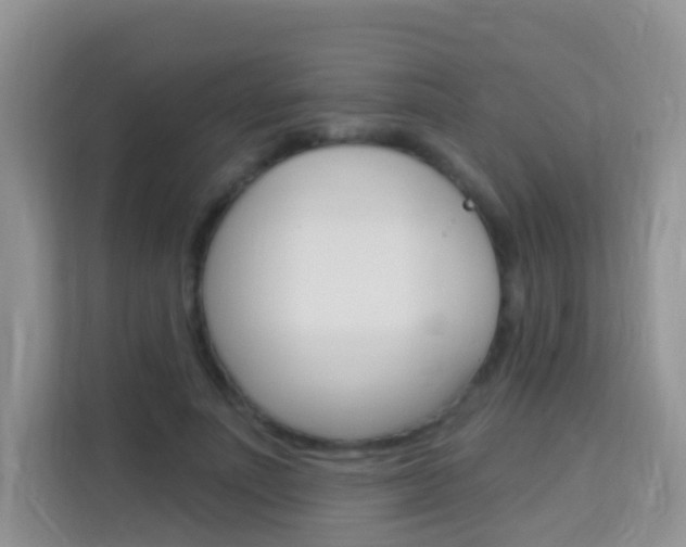 X0000114210691200910091029