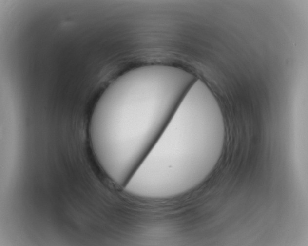X0000114210695200910091029