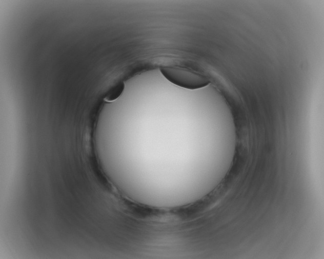 X0000114210696200910091029