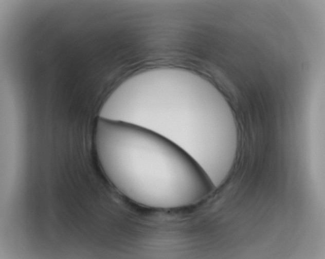 X0000114210697200910091029