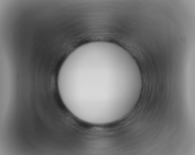 X0000114210699200910091029