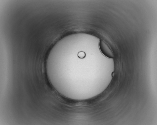 X0000114210700200910091029