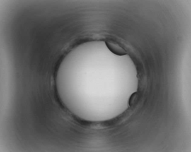 X0000114210704200910091029