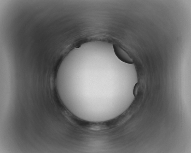 X0000114210708200910091029