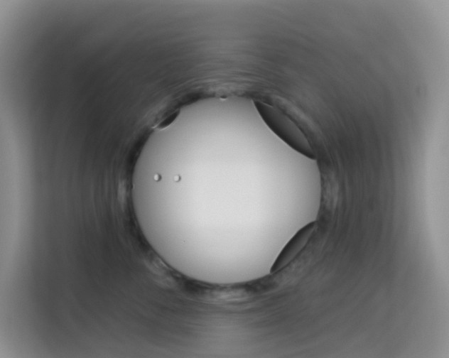 X0000114210716200910091029