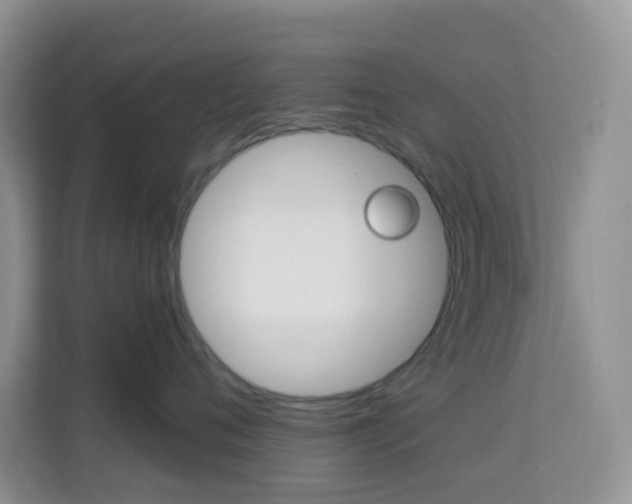 X0000114210720200910091029