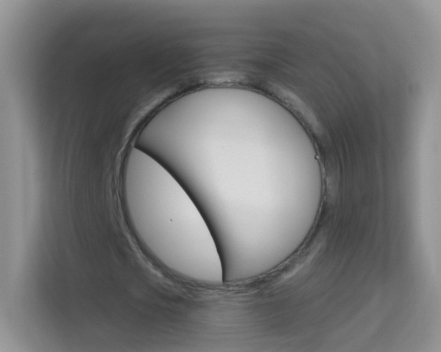 X0000114210721200910091028
