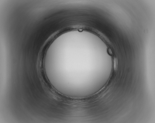 X0000114210723200910091028