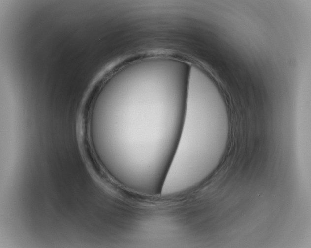 X0000114210726200910091028