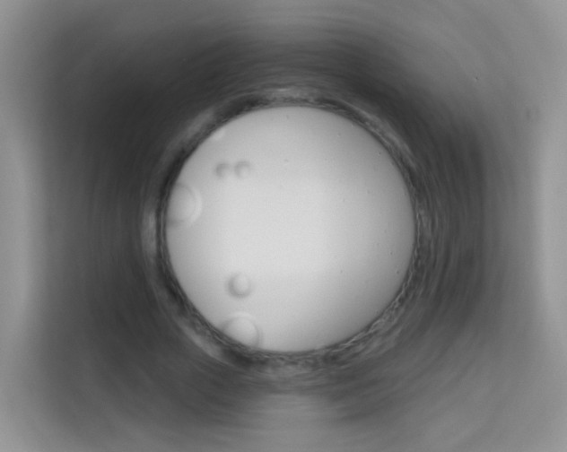 X0000114210729200910091028