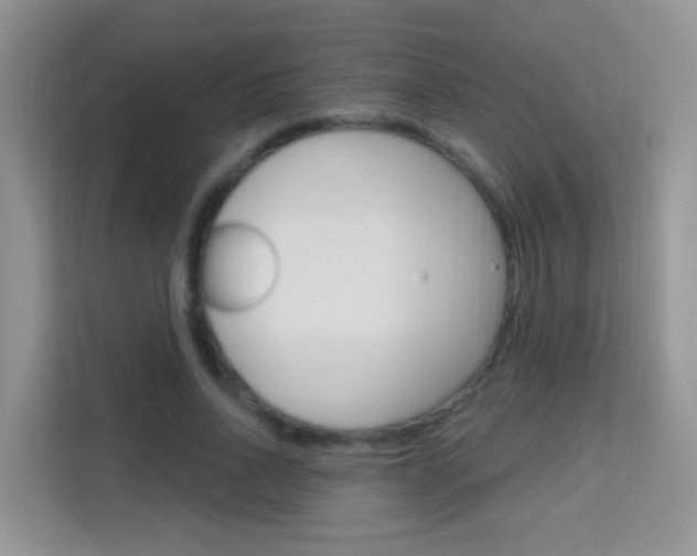 X0000114210734200910091028