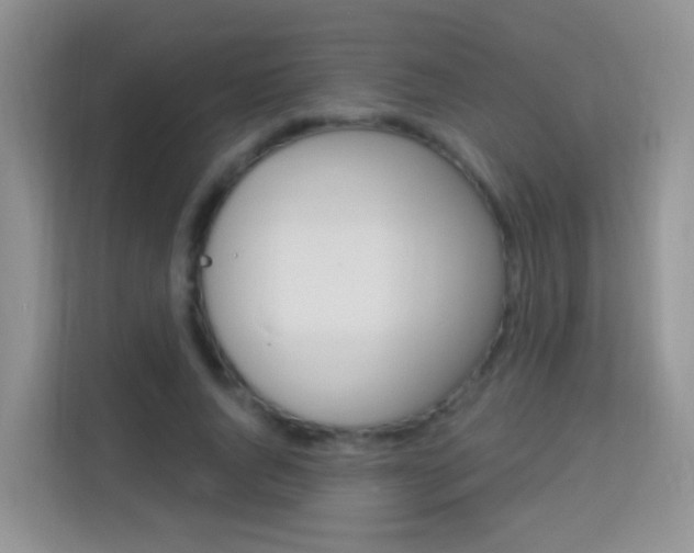 X0000114210736200910091028