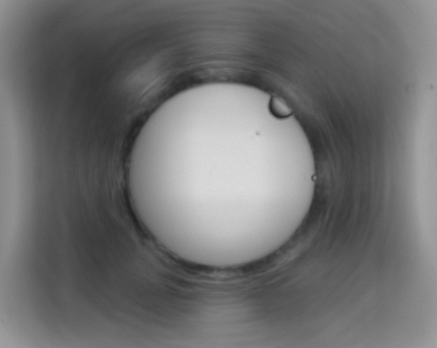 X0000114210751200910091028