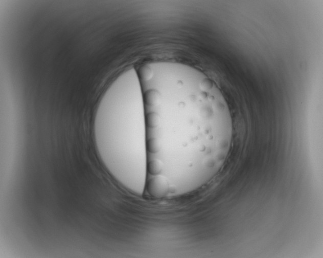X0000114210755200910091028