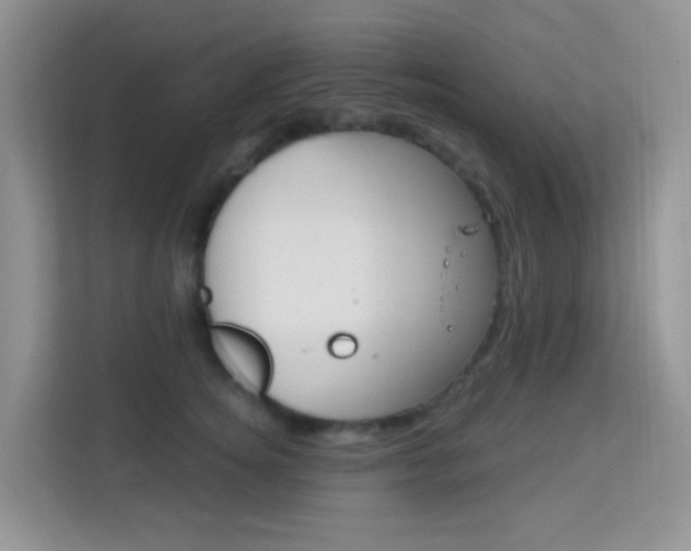 X0000114210756200910091028