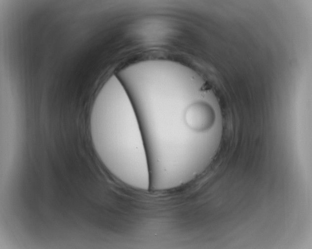 X0000114210759200910091028