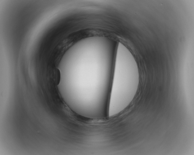 X0000114210762200910091028