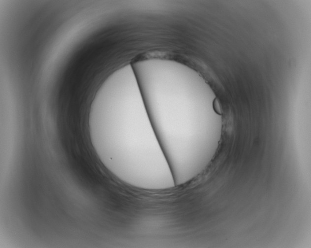 X0000114210763200910091028