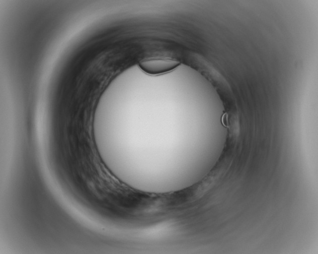 X0000114210764200910091028