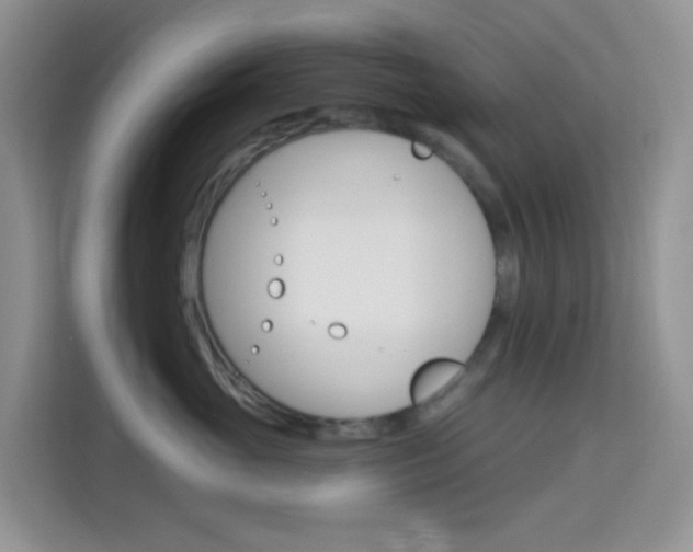 X0000114210765200910091028