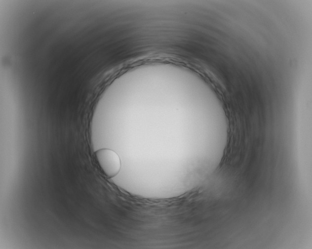X0000114210773200910091028