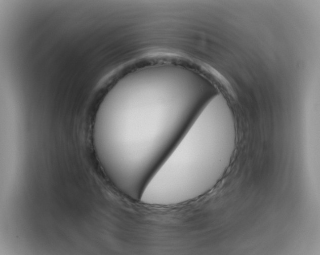 X0000114210775200910091028