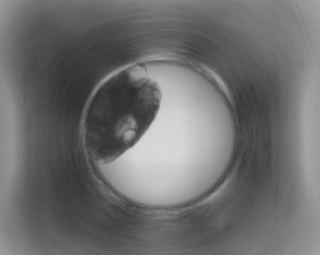 X0000114210779200910091028