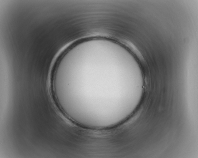 X0000114210780200910091028
