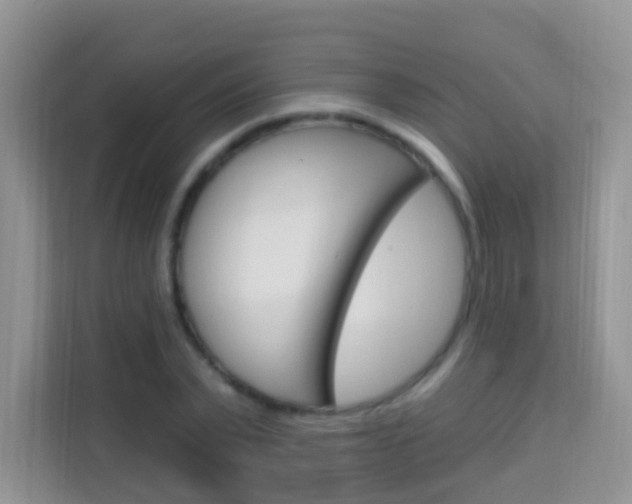 X0000114210783200910091028