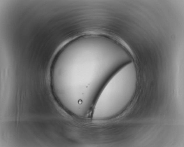 X0000114210787200910091028