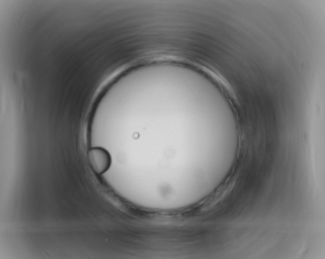 X0000114210790200910091028