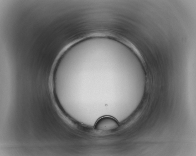 X0000114210795200910091028