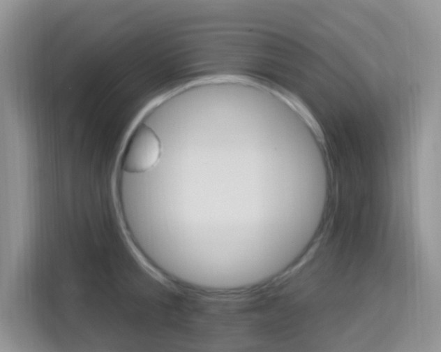 X0000114210805200910091027