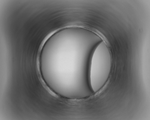 X0000114210812200910091027