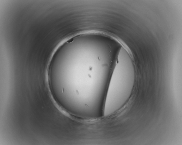 X0000114210813200910091027