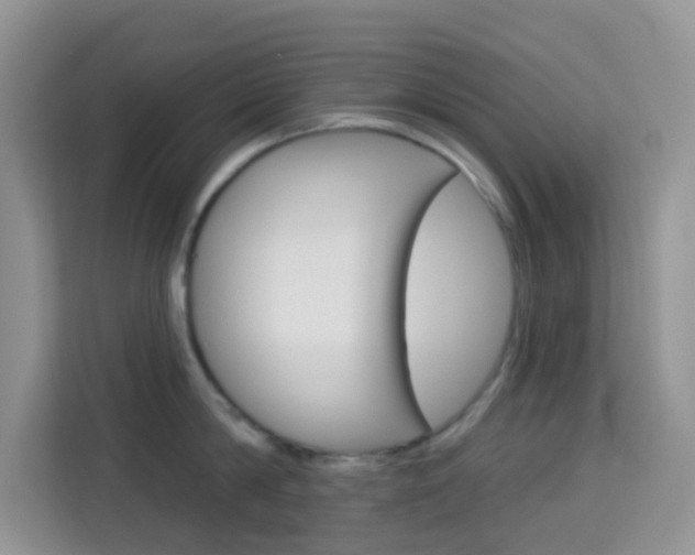 X0000114210814200910091027