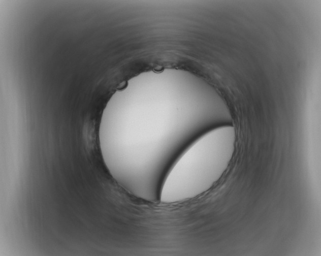 X0000114210818200910091027