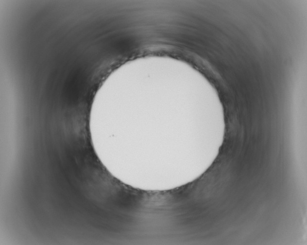 X0000114210824200910091027