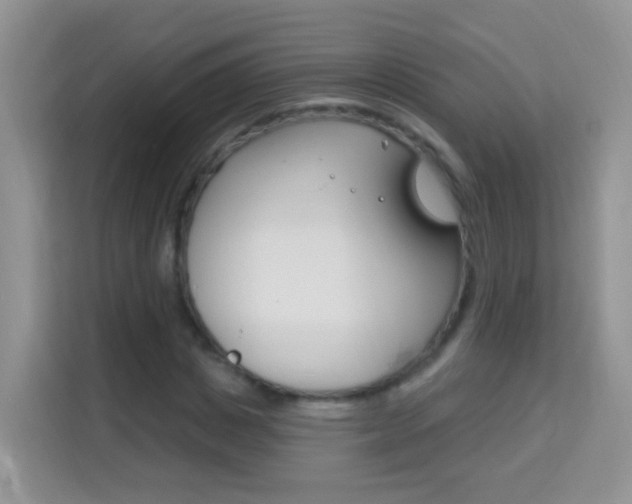 X0000114210825200910091027