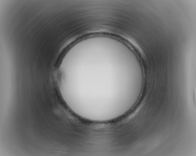 X0000114210826200910091027