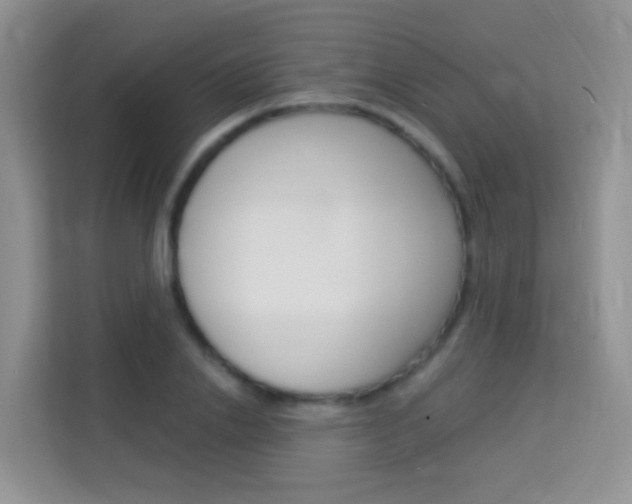 X0000114210838200910091027