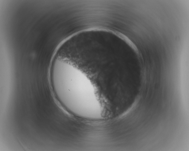X0000114210839200910091027