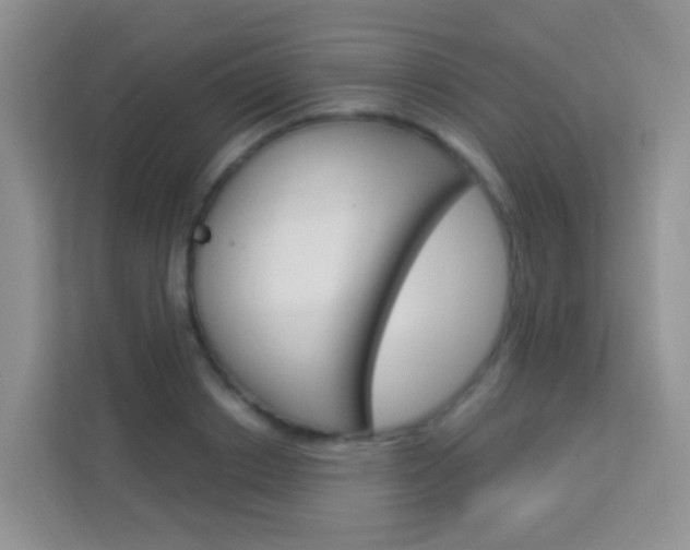 X0000114210842200910091027
