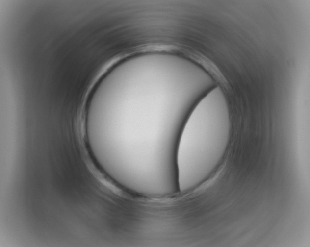 X0000114210844200910091027