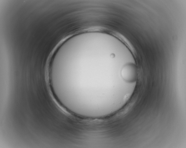 X0000114210851200910091027
